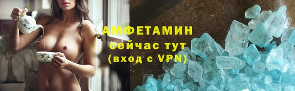 индика Богородицк
