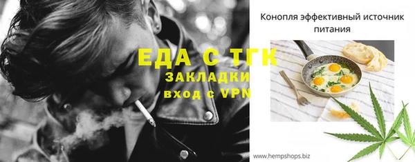 индика Богородицк