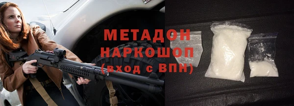 индика Богородицк