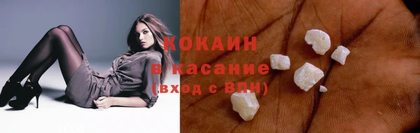 индика Богородицк
