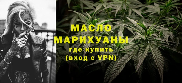 индика Богородицк