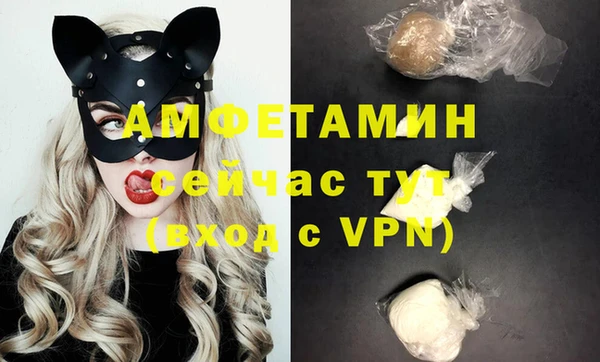 индика Богородицк