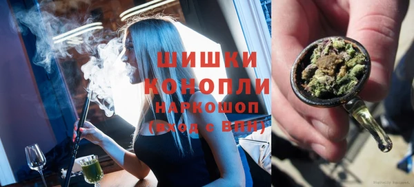 индика Богородицк