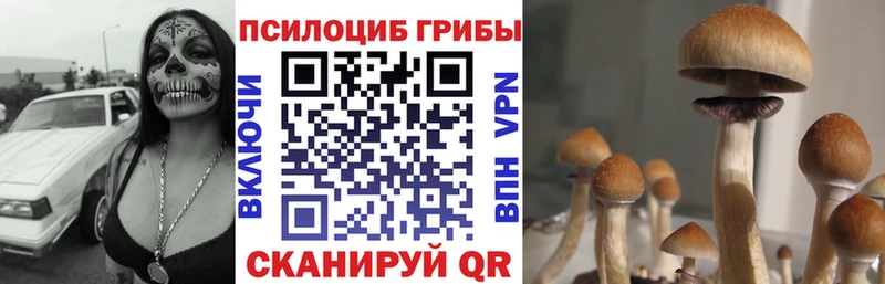 Псилоцибиновые грибы мухоморы  Реж 